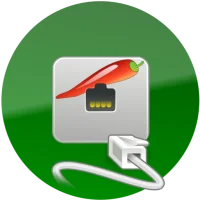 aSPICE: Secure SPICE Client